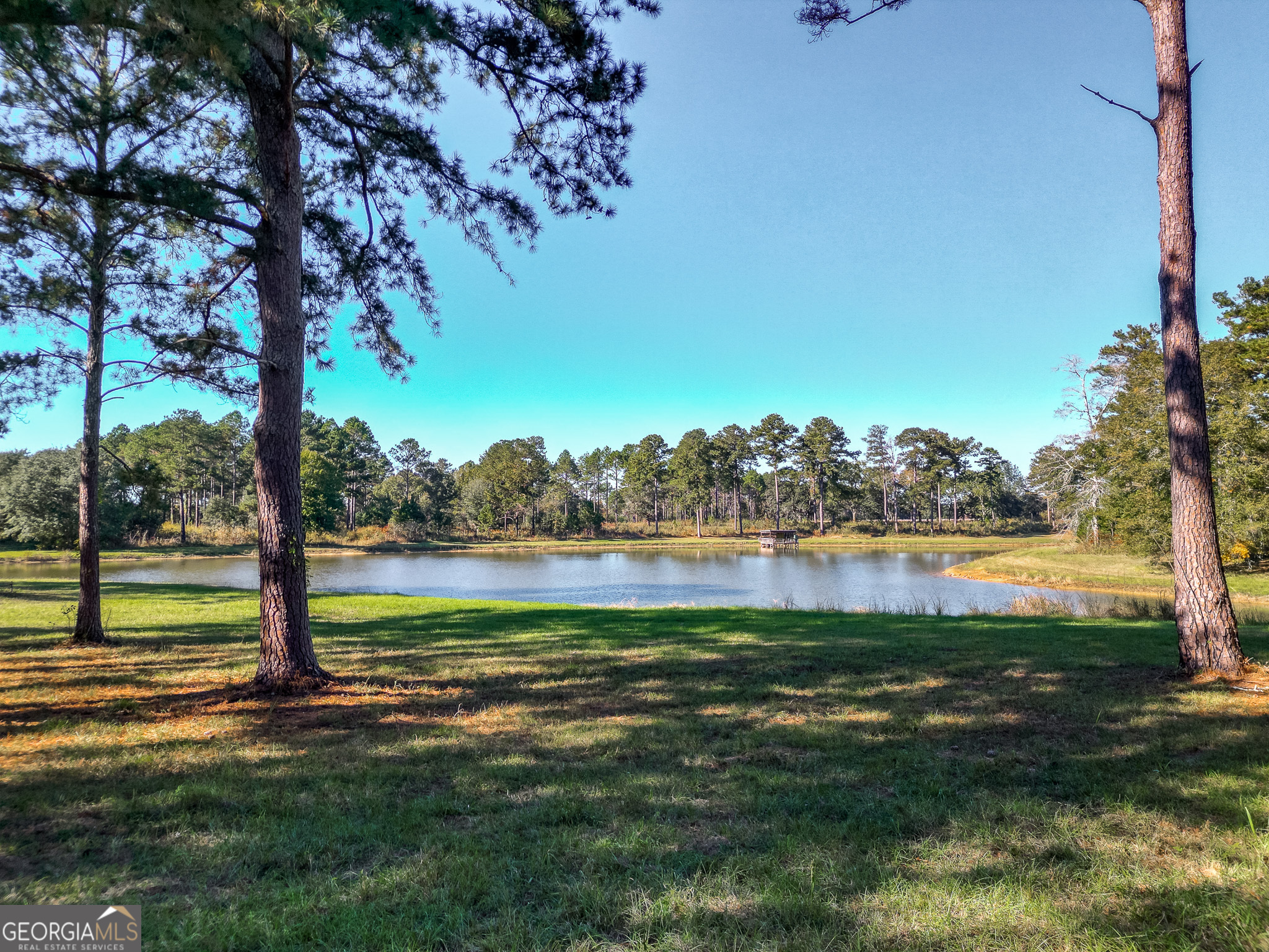 0 New York Road Leesburg, GA 31763 - Photo 10 of 19 a view of a lake from a yard