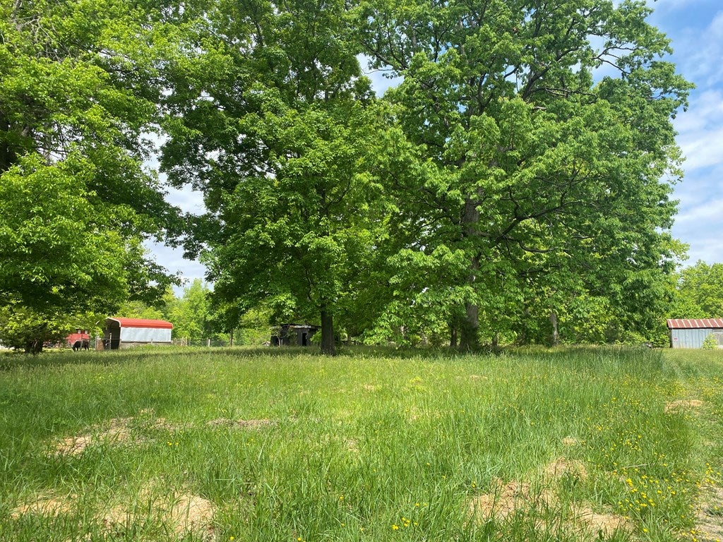 2136 Poorhouse Road Victoria, VA 23974 - Photo 10 of 31 Gallery Image 10