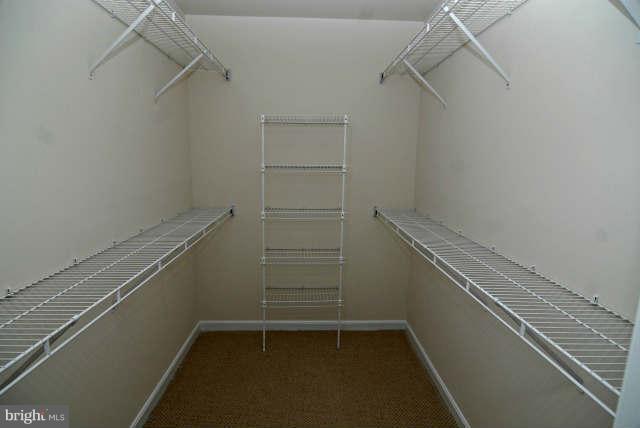 11408 Elmshorn Way Laurel, MD 20708 - Photo 24 of 30 Interior (General)