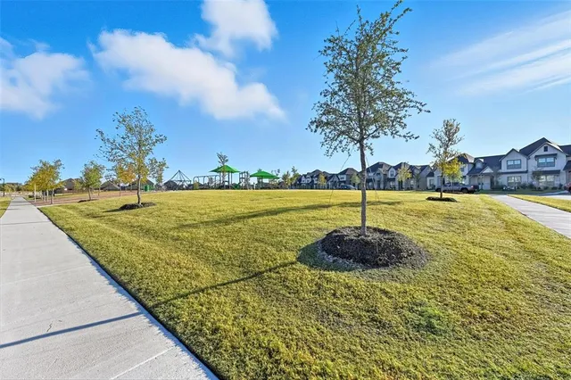 a street view with yard