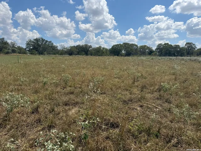 a view of a lake from a yard