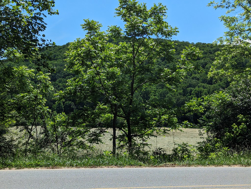 1.48 Daves Road Morganton, GA 30560 - Photo 2 of 8