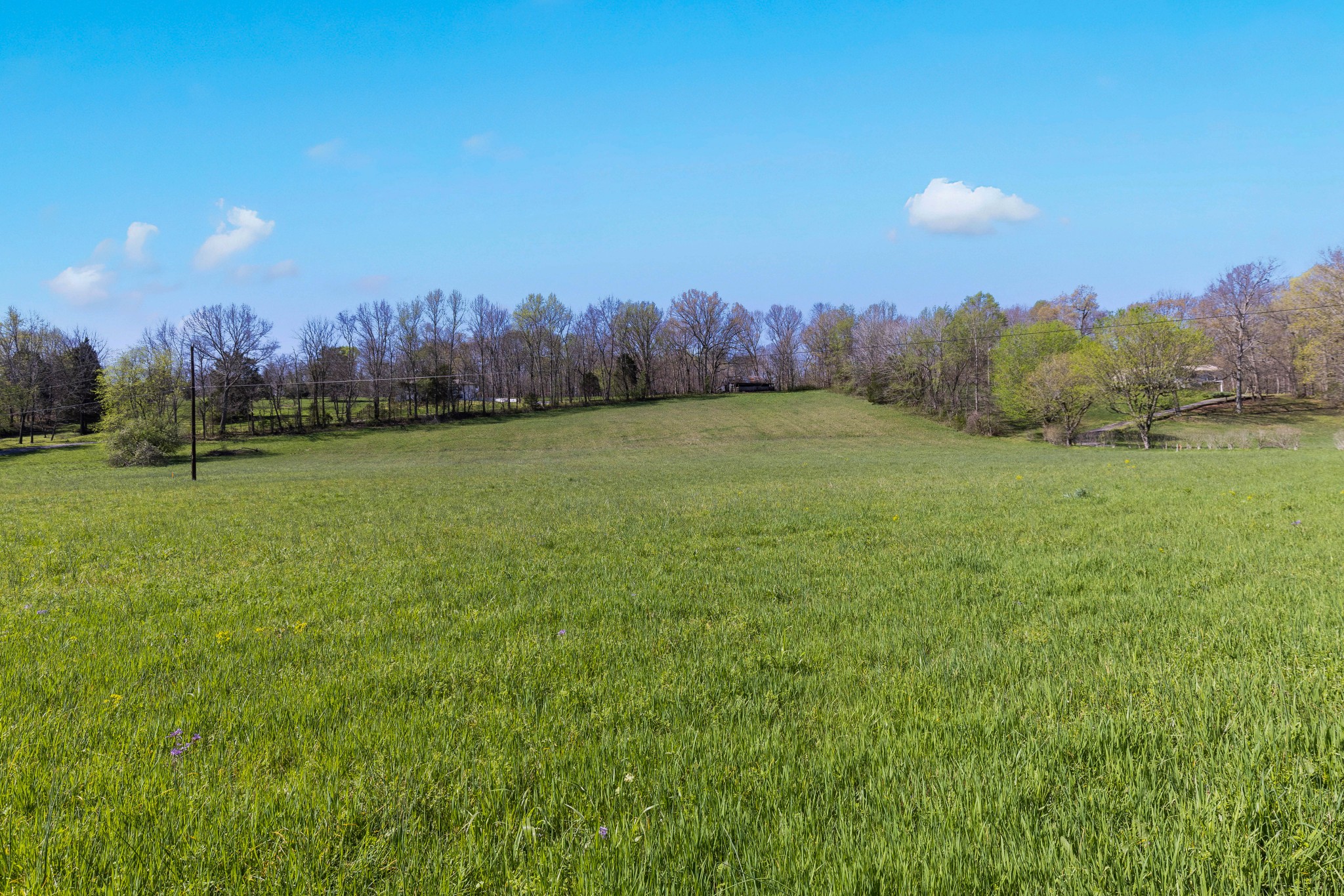 0 Honey Run Road White House, TN 37188 - Photo 3 of 22 Gallery Image 3