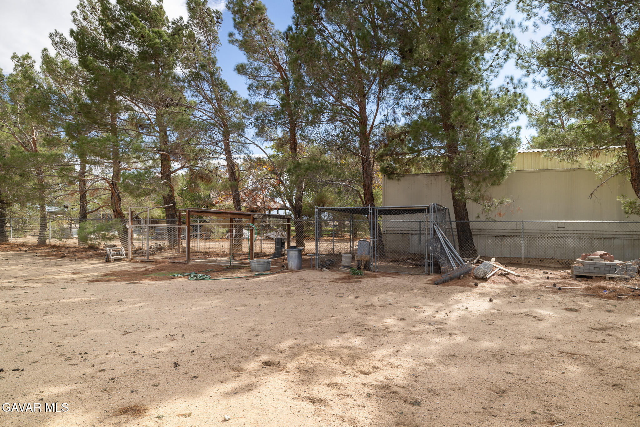 49945 80th Street West Lancaster, CA 93536 - Photo 31 of 38 a view of dirt yard with a large tree