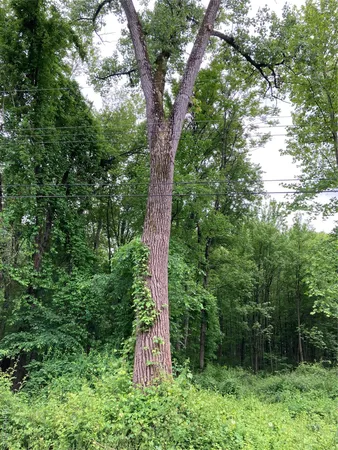 $49,800 | 30 Luty Drive, Hyde Park, NY 12538