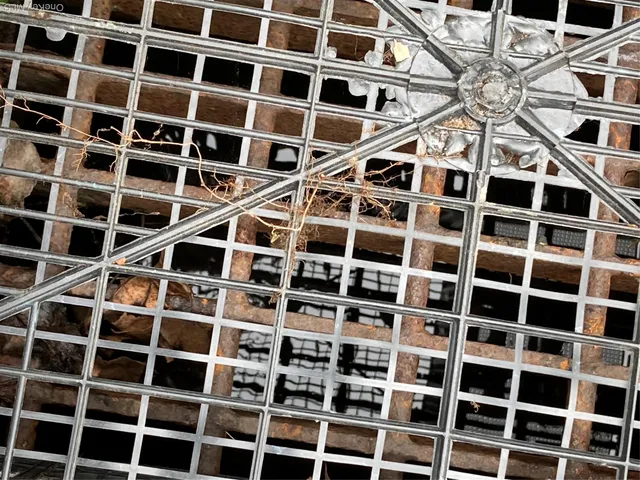 a view of front door with wooden fence