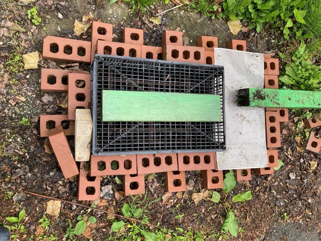 a view of a back yard