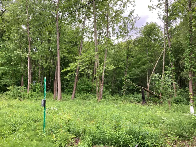 a green field with lots of trees in it