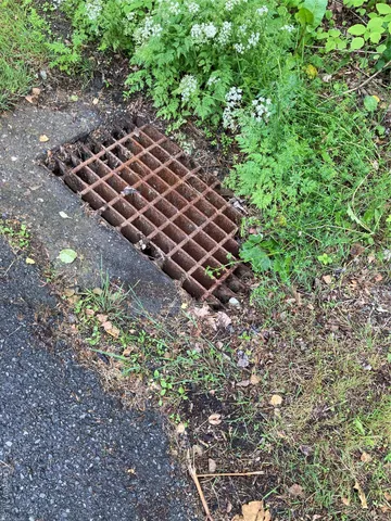 a backyard of a house