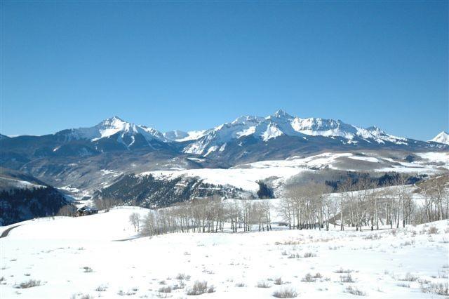 Primary Photo
