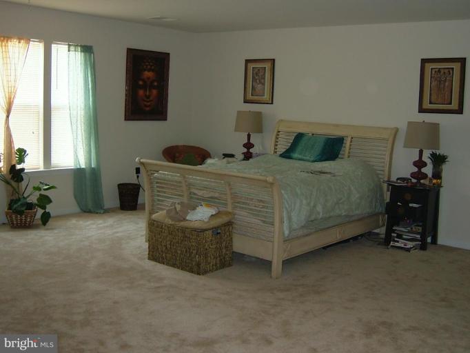 7522 Roxy Drive Windsor Mill, MD 21244 - Photo 12 of 21 Huge 19' 5 " x 20' Master Bedroom