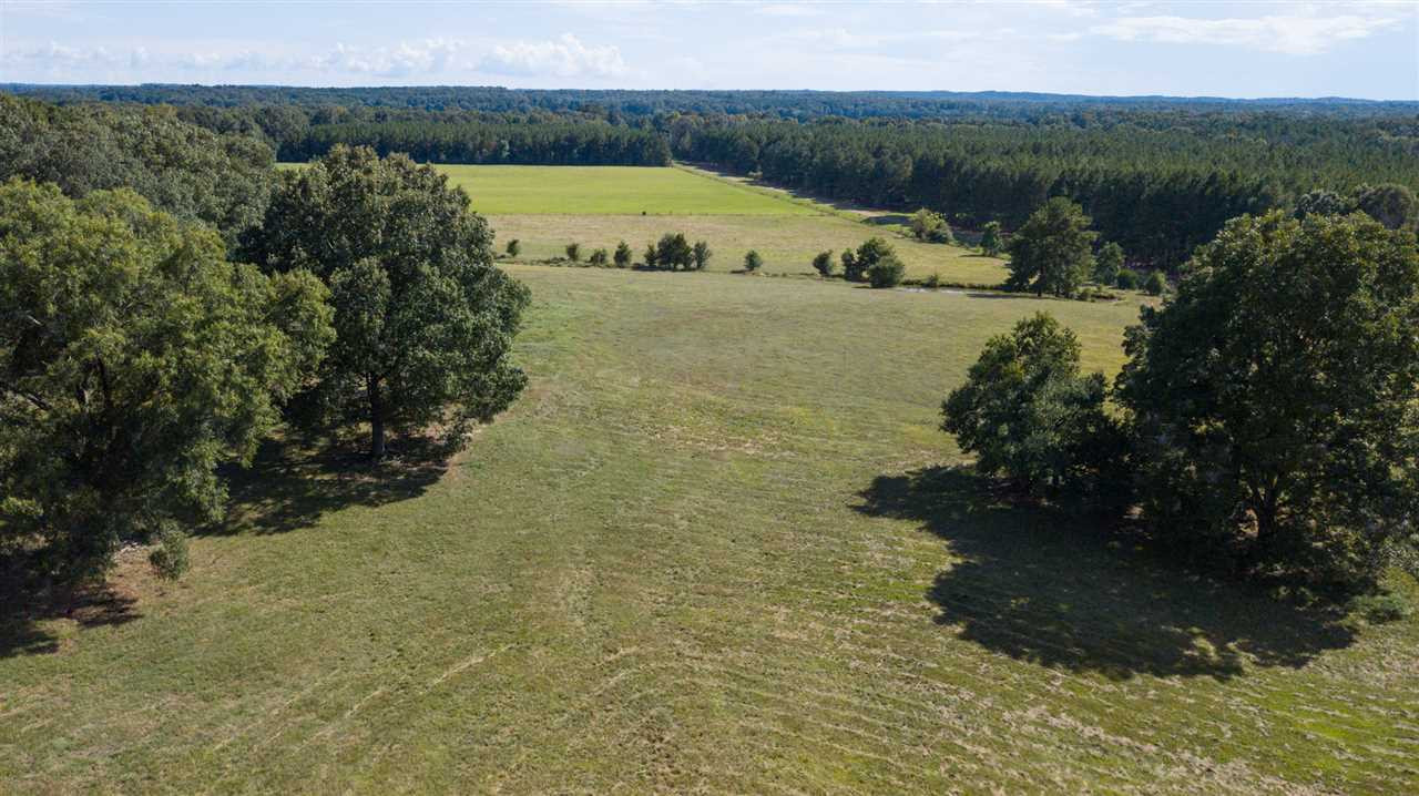 2270 Low Water Bridge Road, Unit 2 Utica, MS 39175 - Photo 13 of 48 Photo 13