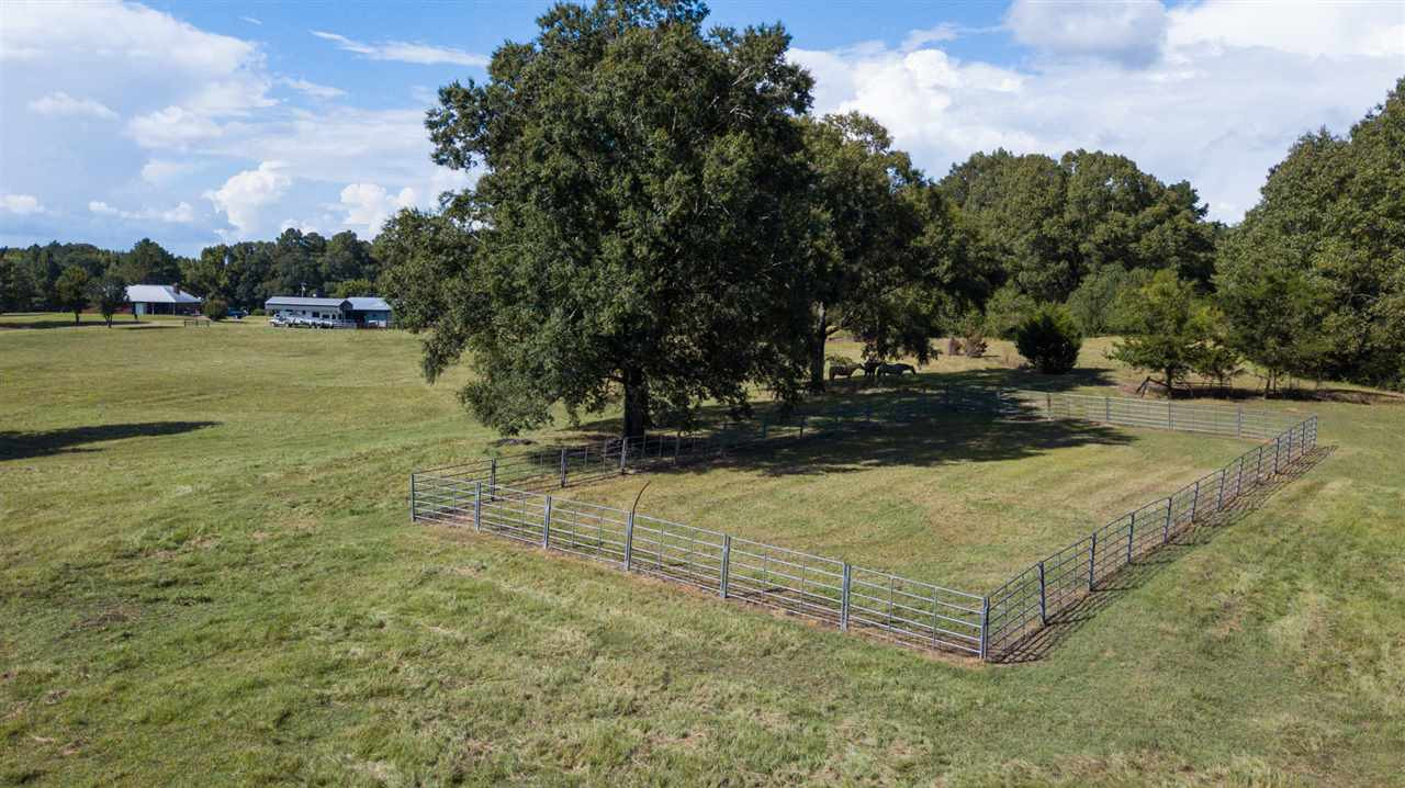 2270 Low Water Bridge Road, Unit 2 Utica, MS 39175 - Photo 14 of 48 Photo 14