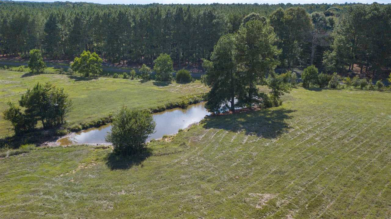 2270 Low Water Bridge Road, Unit 2 Utica, MS 39175 - Photo 15 of 48 Photo 15