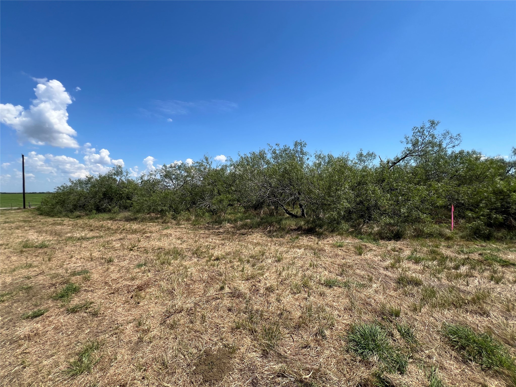 2630 County Road 466 Elgin, TX 78621 - Photo 3 of 4
