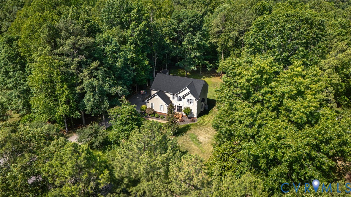 13331 Walke Pointe Way Chesterfield, VA 23832 - Photo 49 of 55