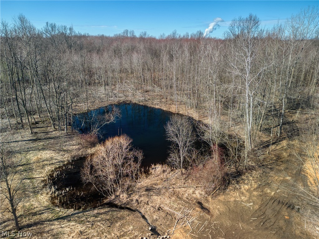 County Line Road Geneva, OH 44041 - Photo 7 of 11