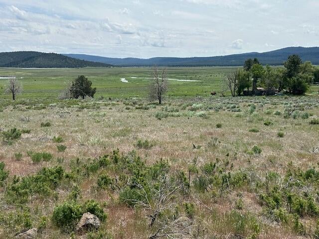 Drews Road Chiloquin, OR 97624 - Photo 4 of 4 IMG_8406