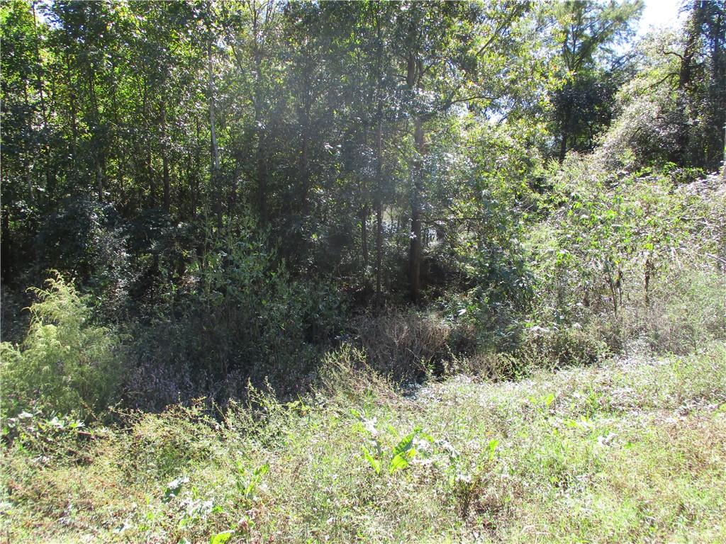 0 Rigolette Road Pineville, LA 71360 - Photo 18 of 18