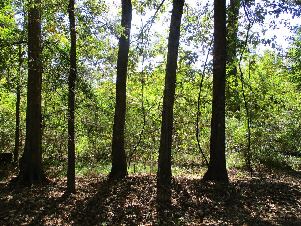 0 Rigolette Road Pineville, LA 71360 - Photo 2 of 18