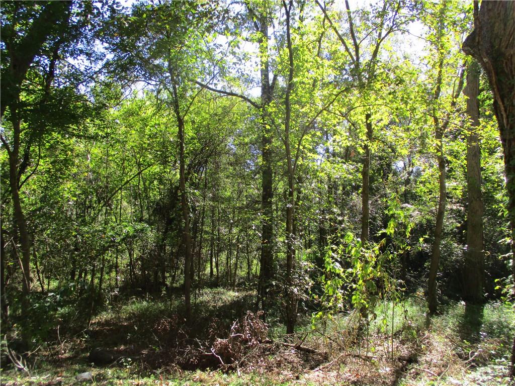 0 Rigolette Road Pineville, LA 71360 - Photo 4 of 18
