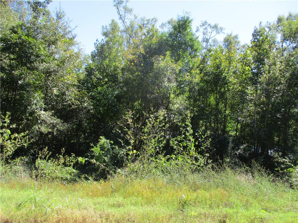 0 Rigolette Road Pineville, LA 71360 - Photo 7 of 18