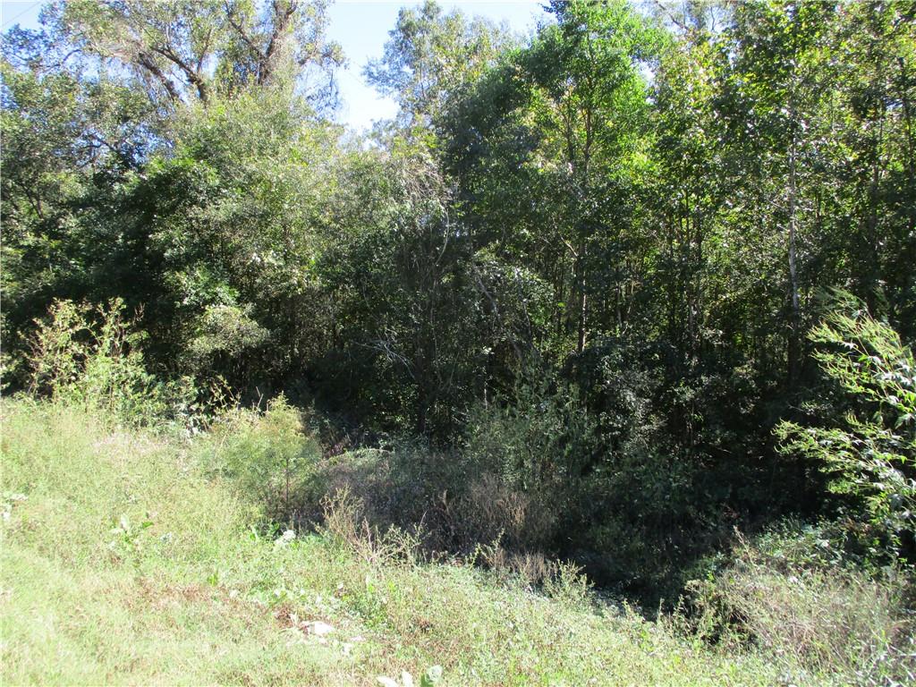 0 Rigolette Road Pineville, LA 71360 - Photo 9 of 18