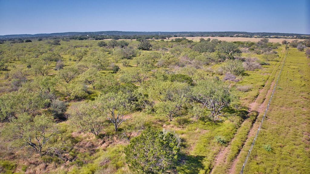0 Long Mountain Road Mason, TX 76856 - Photo 11 of 15