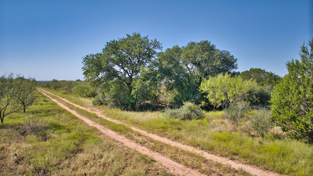 0 Long Mountain Road Mason, TX 76856 - Photo 15 of 15