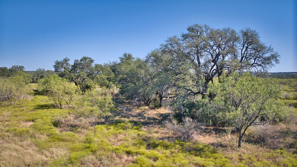 0 Long Mountain Road Mason, TX 76856 - Photo 7 of 15