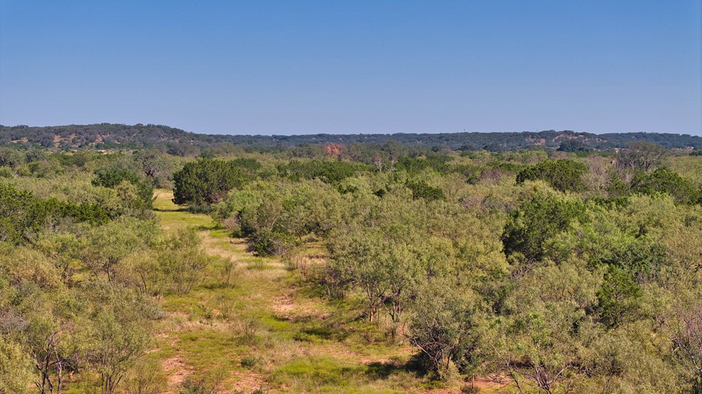 0 Long Mountain Road Mason, TX 76856 - Photo 10 of 15