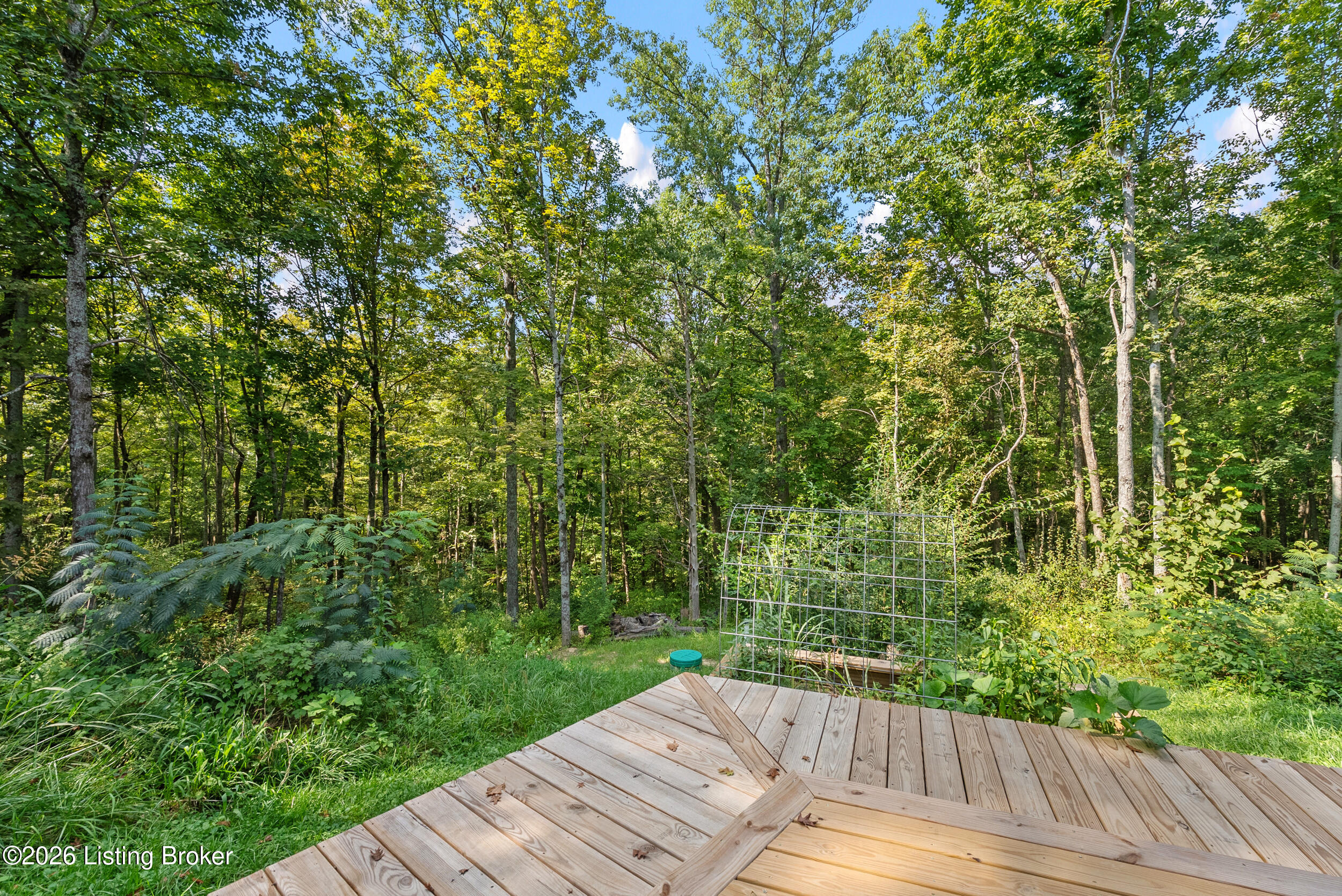2317 Ridge Road Pendleton, KY 40055 - Photo 45 of 54 dsc08378