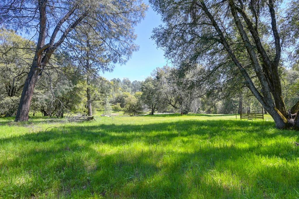 3780 Sand Ridge Road Placerville, CA 95667 - Photo 1 of 1 Gallery Image 1