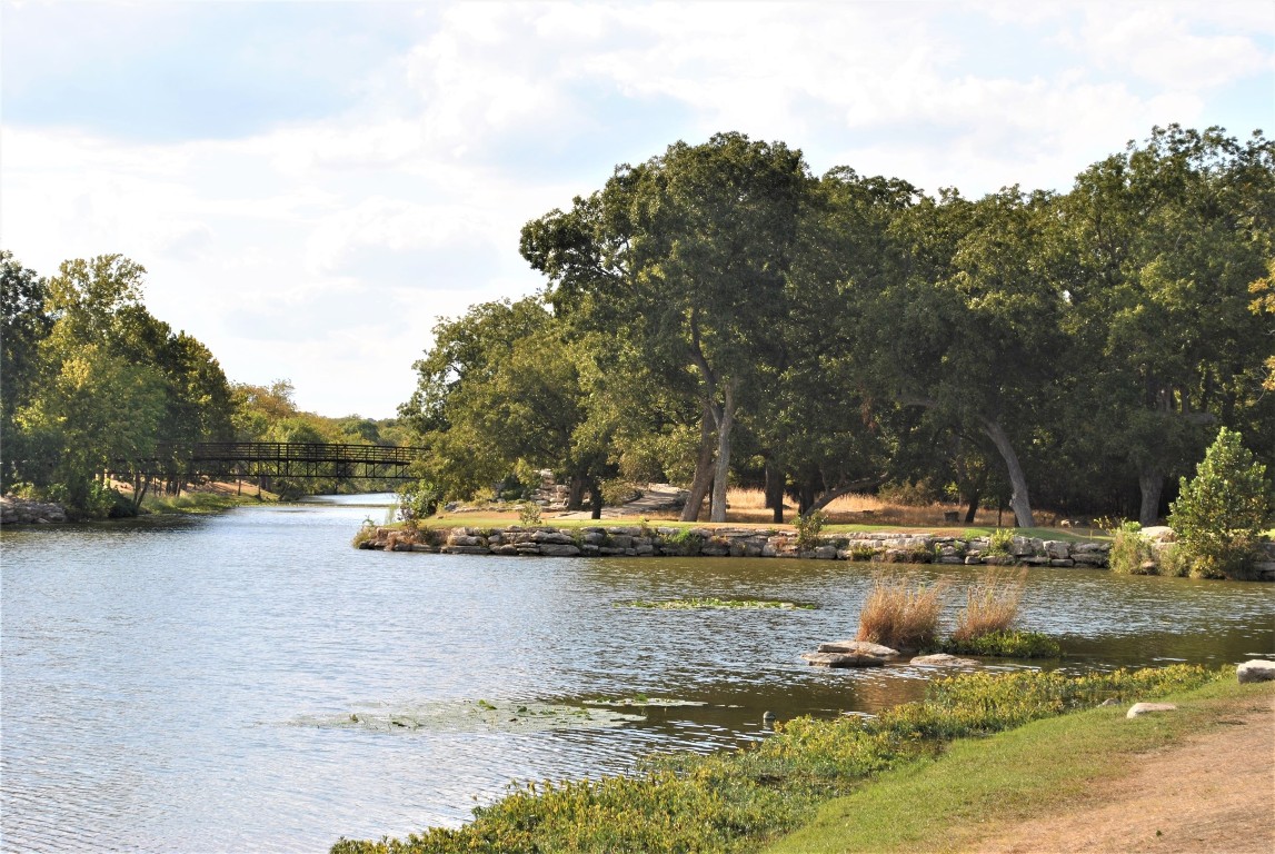 247 Bonham Loop Georgetown, TX 78633 - Photo 31 of 32 a view of a lake with houses