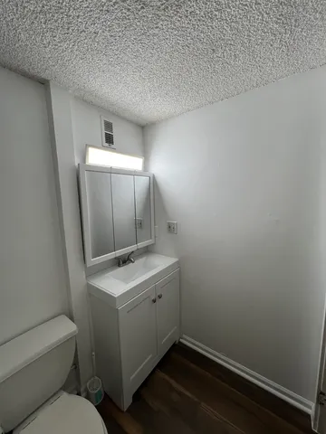 a bathroom with a sink toilet and vanity