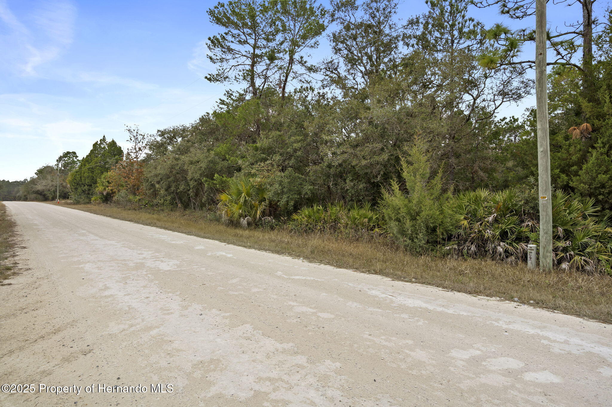 0 Yellowback Road Weeki Wachee, FL 34614 - Photo 3 of 14