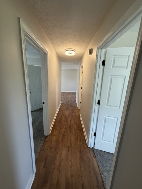1359 Rutledge Ln. Lebanon, TN 37087 - Photo 33 of 65 Gallery Image 33