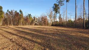 Friend Road Blackstone, VA 23824 - Photo 5 of 26 Gallery Image 5