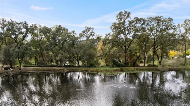 a view of water with trees