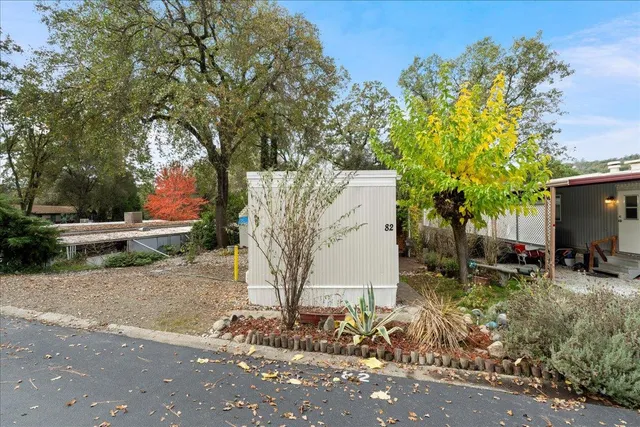 a view of backyard with tree