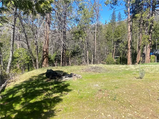 a view of outdoor space with trees