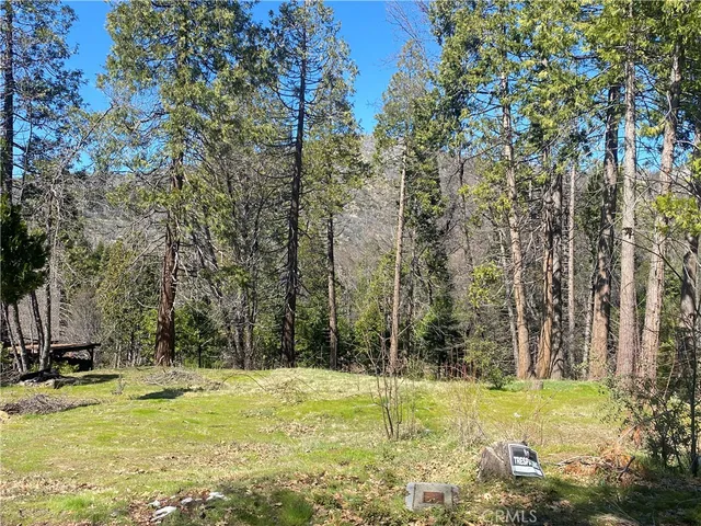 a view of a backyard with large trees