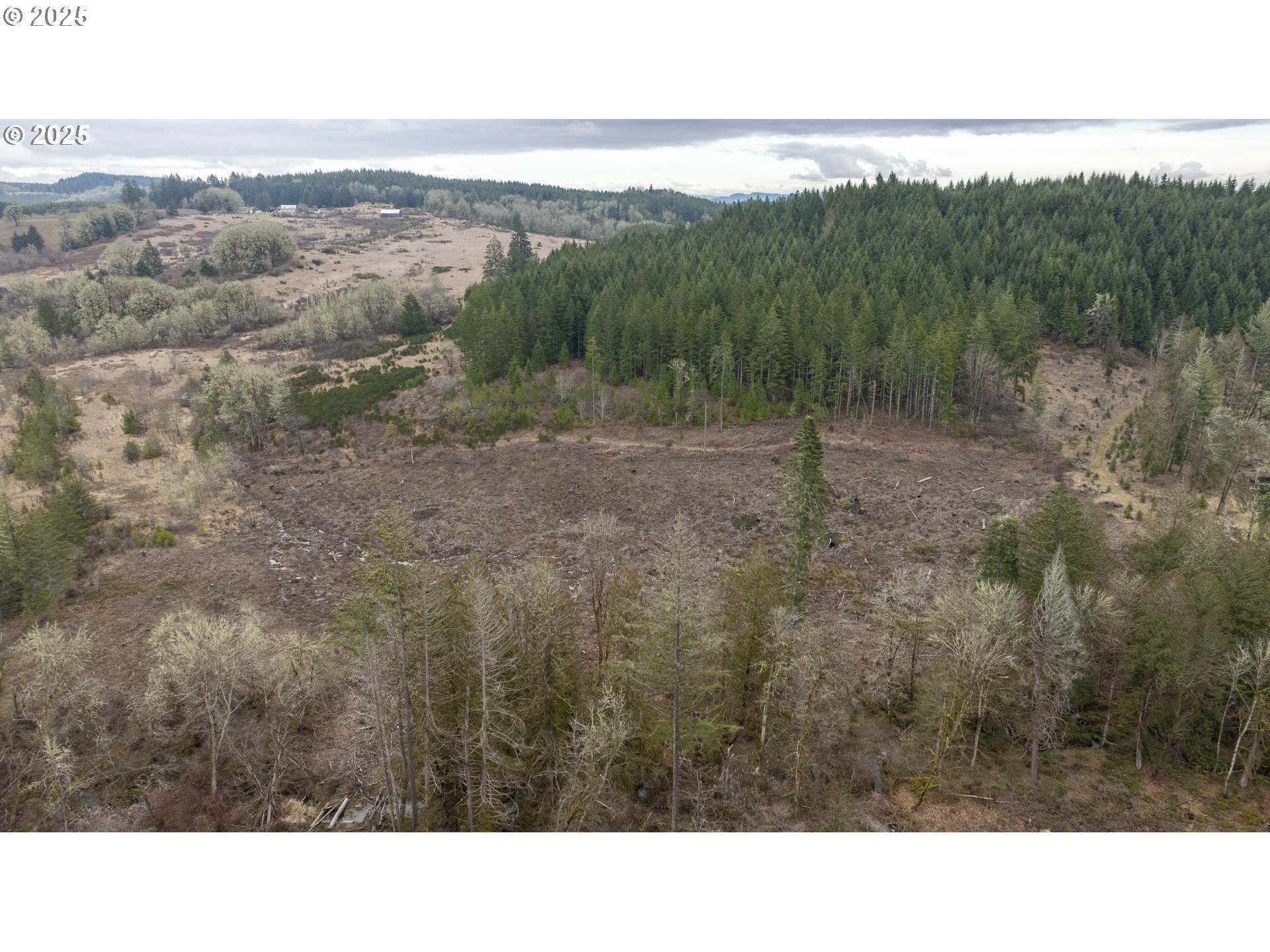 0 Northwest Panther Creek Road Yamhill, OR 97148 - Photo 10 of 28