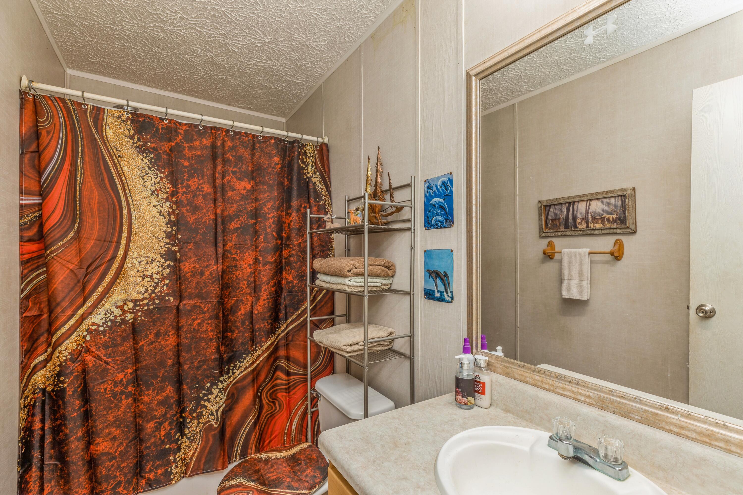 8495 Creston Barrow Road Baker, FL 32531 - Photo 28 of 35 a bathroom with a sink and a mirror
