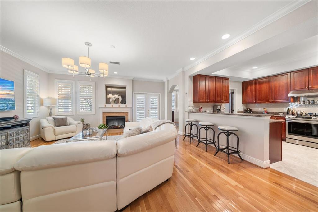 291 1st Avenue Southwest Largo, FL 33770 - Photo 21 of 83 a living room with fireplace furniture and a flat screen tv