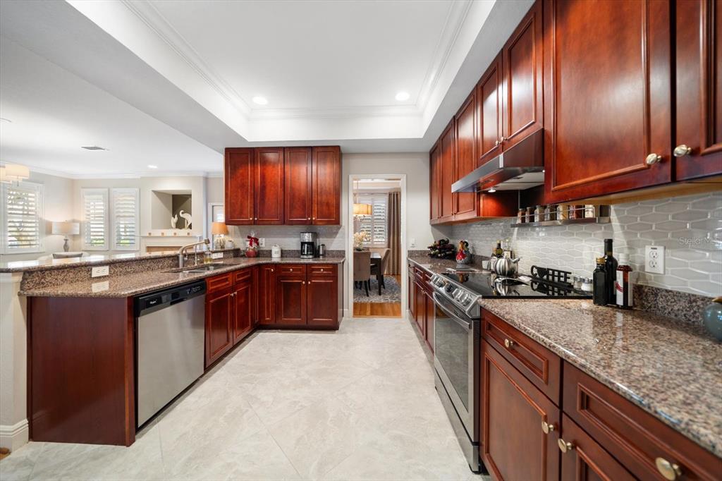 291 1st Avenue Southwest Largo, FL 33770 - Photo 28 of 83 a large kitchen with stainless steel appliances granite countertop wooden cabinets a stove a sink and a large window