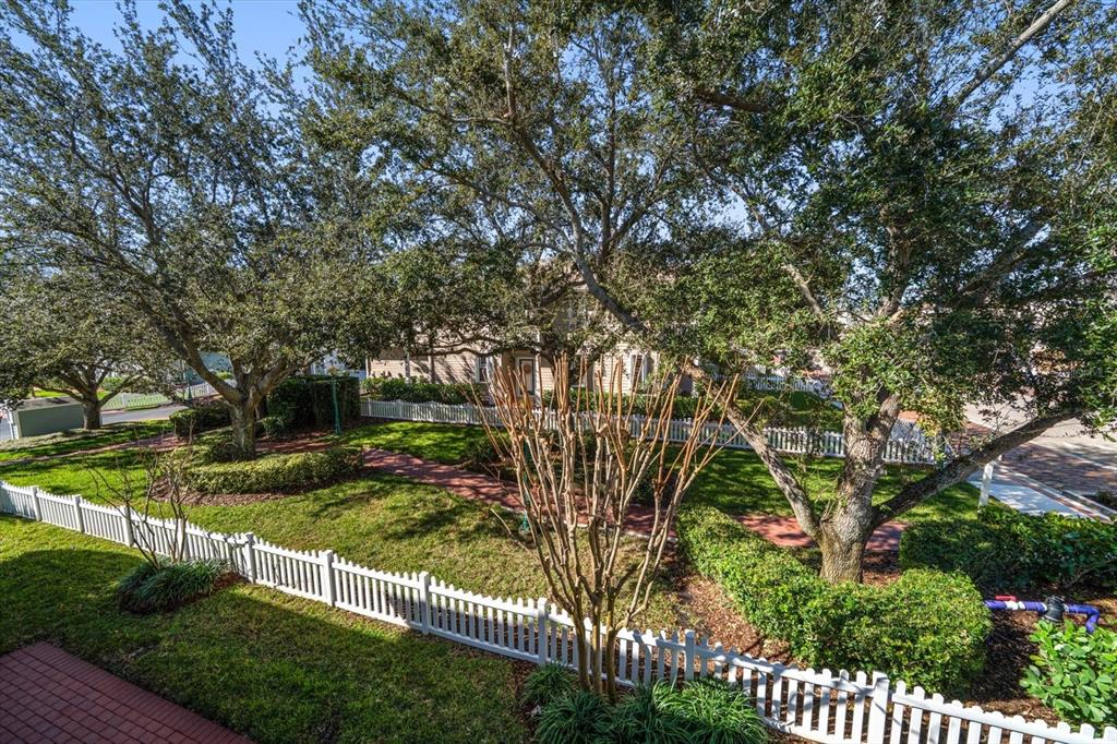 291 1st Avenue Southwest Largo, FL 33770 - Photo 62 of 83 a view of a yard with large trees