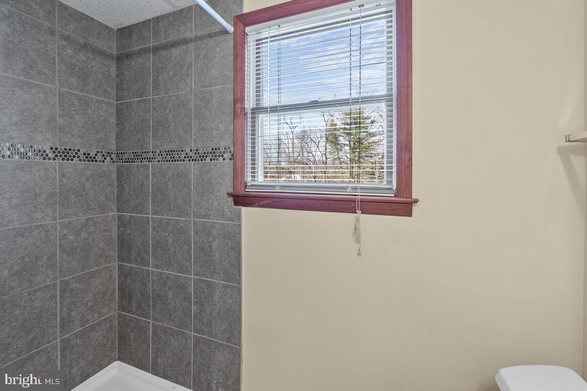 14134 Harrisville Road Mount Airy, MD 21771 - Photo 25 of 41 Lower level full bath with shower.