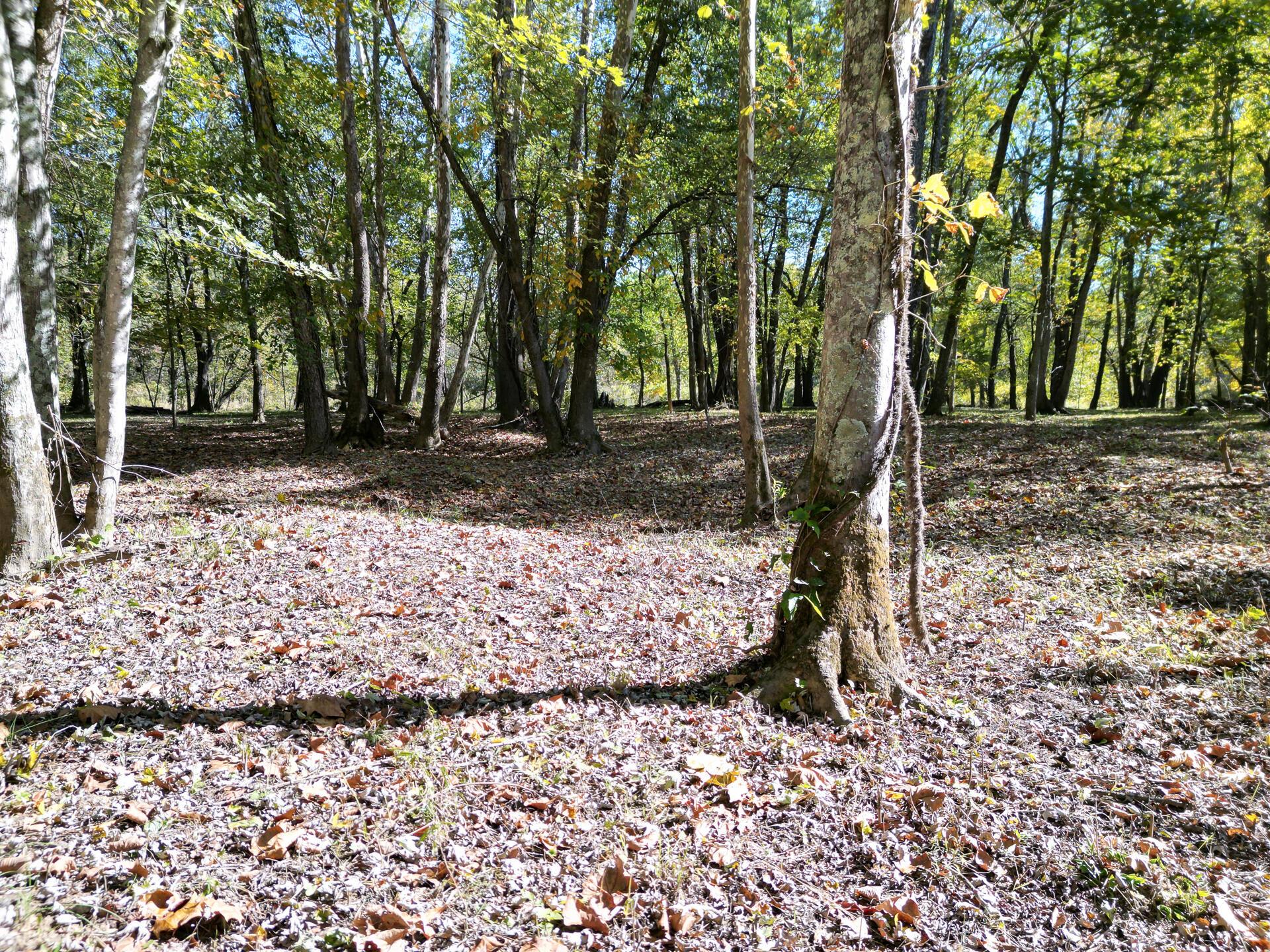 1462 Keystone Road, Unit RACCOON CREEK ADVENTURES) Vinton, OH 45686 - Photo 3 of 69