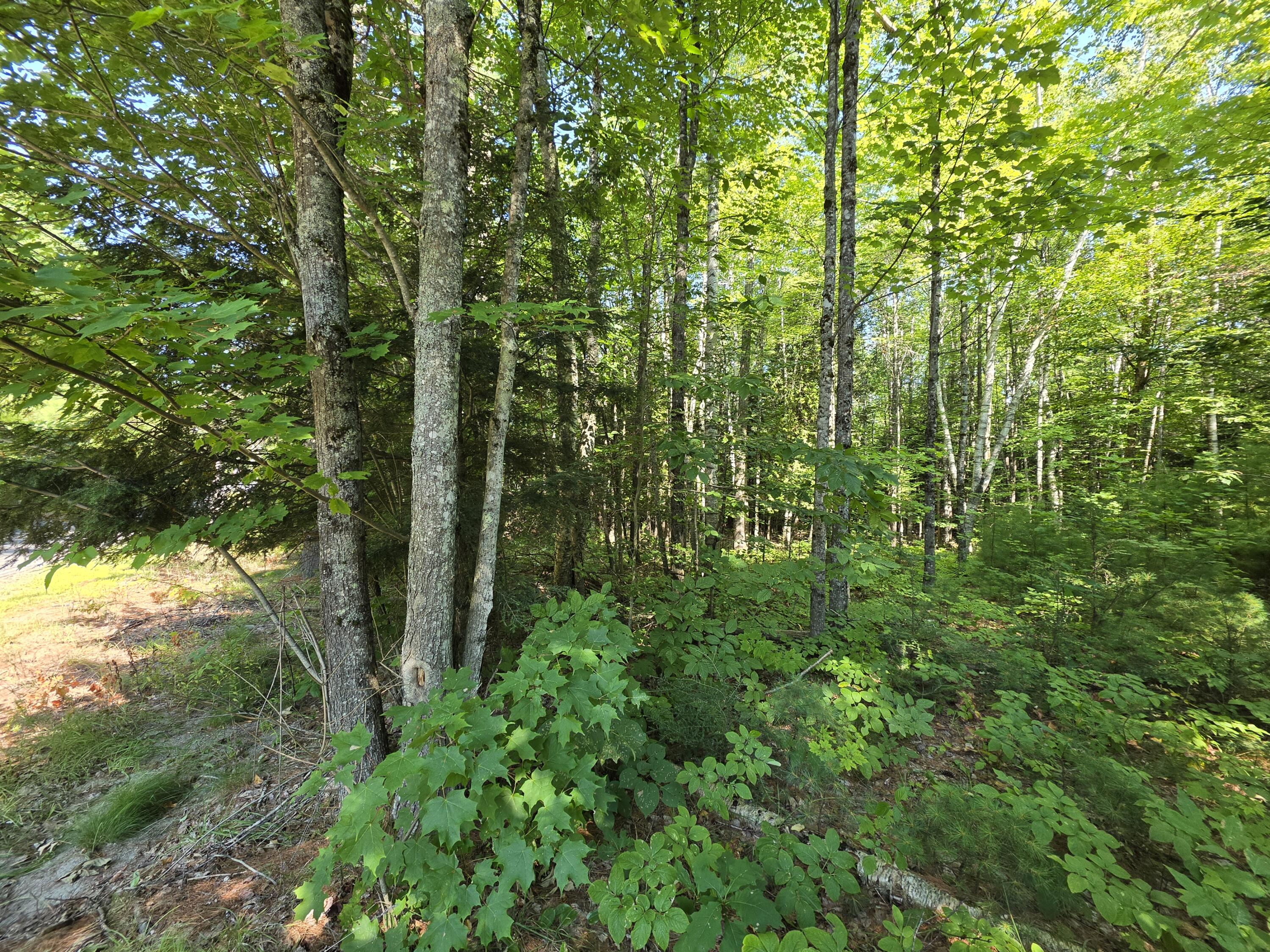 4 Lowell Road Enfield, ME 04493 - Photo 3 of 13 20260812_101557